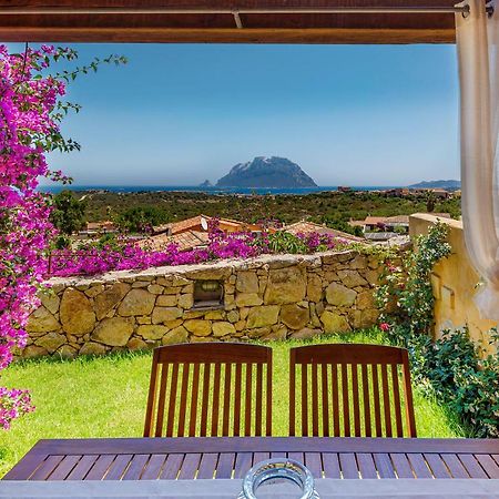 Villa Con Vista Porto San Paolo ポルト・サン・パーオロ エクステリア 写真